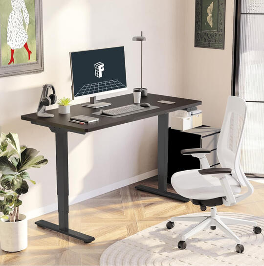 FlexiSpot E6 Pro Standing Desk