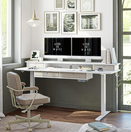 FEZIBO Height Adjustable Electric Standing Desk
